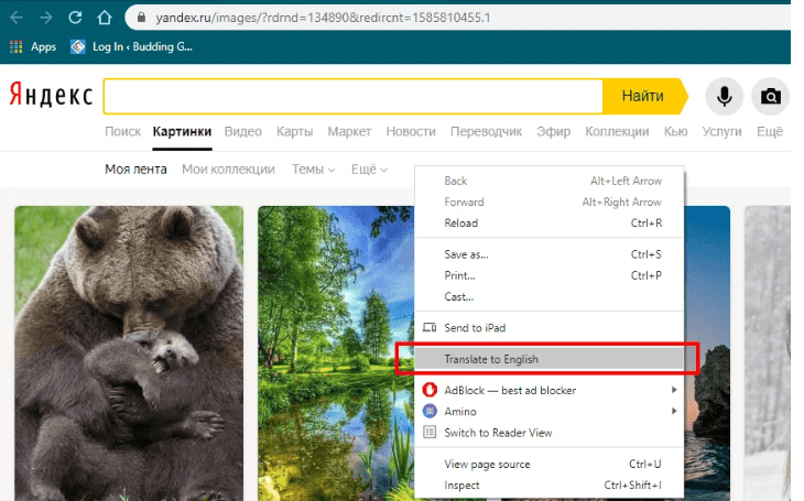 Yandex Reverse Image search