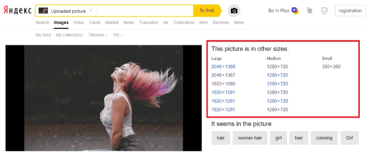 Yandex Reverse Image search