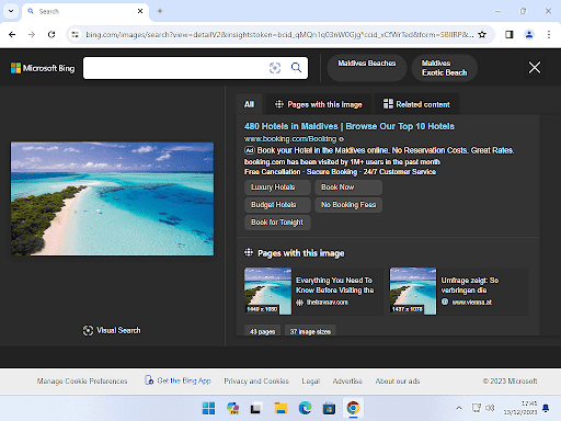 Yandex image search results
