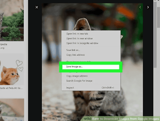 Saving an image as a specific file type