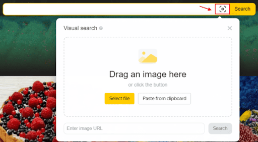 Results for similar images search
