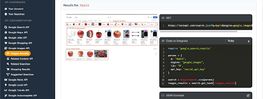 SERP API example results